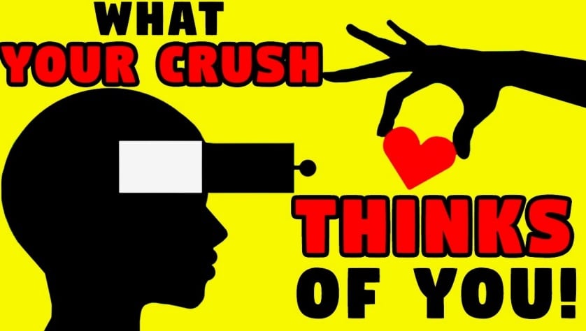 💘 What Does Your Crush Think About You?